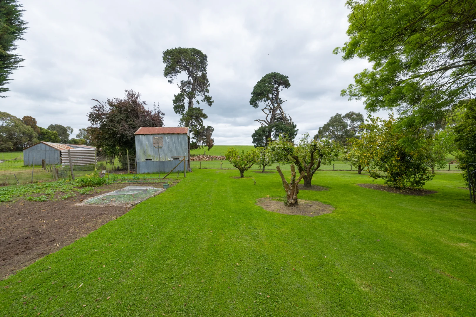 Additional image 14 of 115 Begleys Road, Allansford VIC 3277