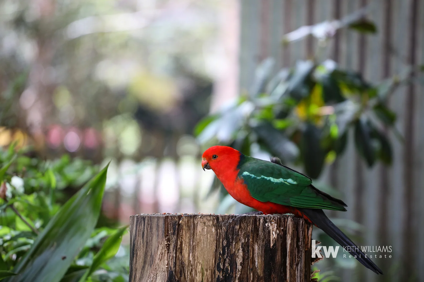 Additional image 30 of 12 Right Hand Branch Road, Walhalla VIC 3825