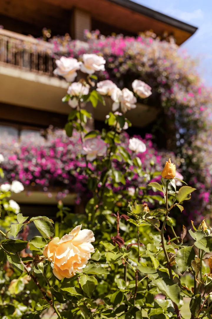 Additional image 29 of 71-79 Knees Road, Park Orchards VIC 3114