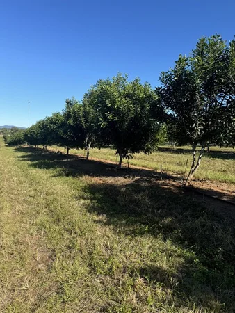 Additional image 18 of Skyring Reserve QLD 4671