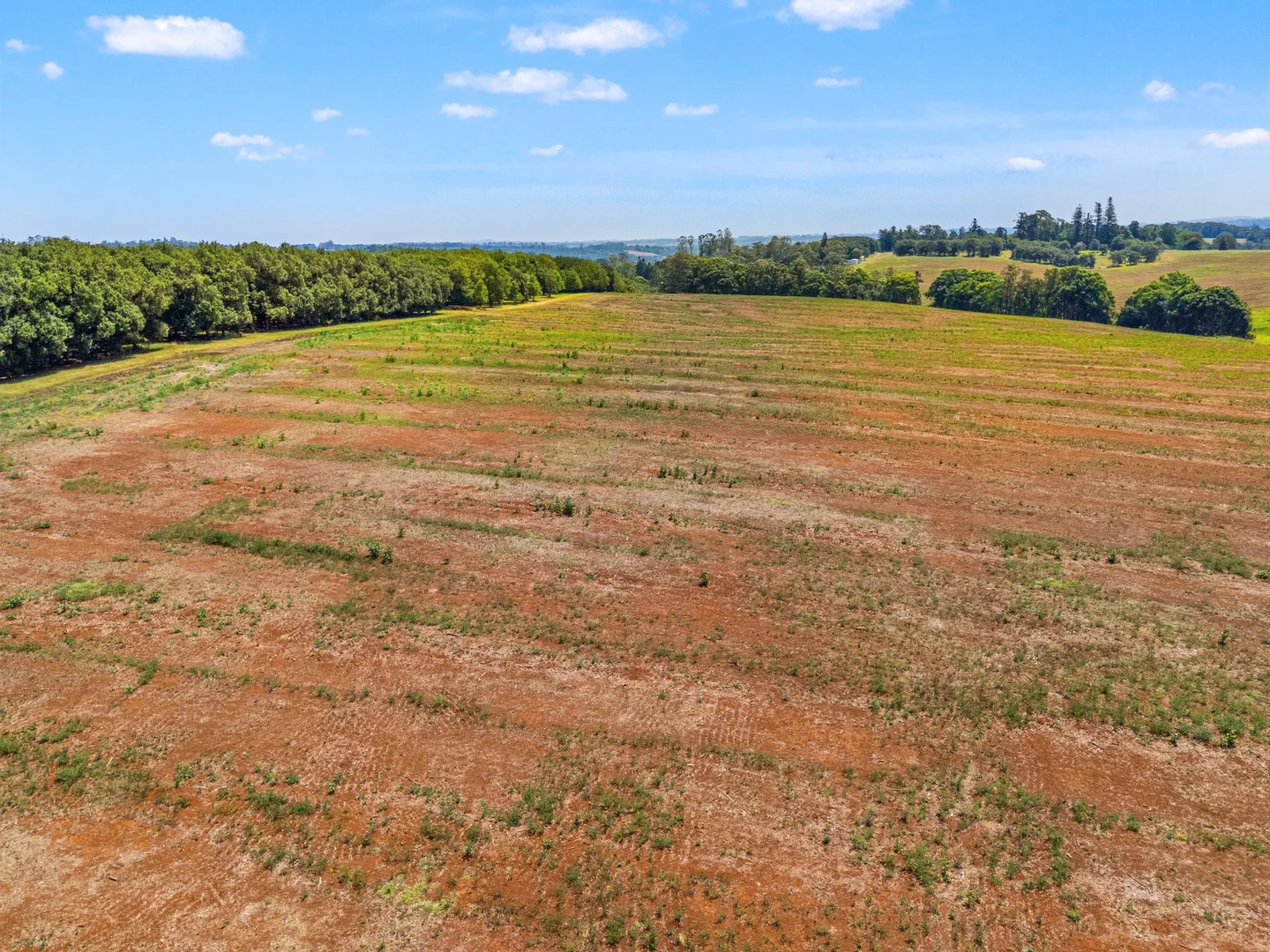 Additional image 14 of 1/250 Eureka Road, Eureka NSW 2480