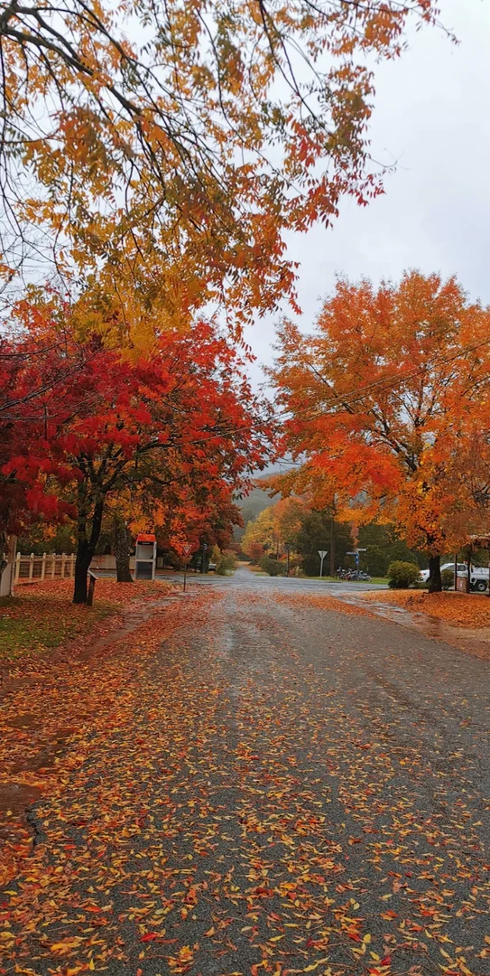 Additional image 3 of 30 Grey Street, Jamieson VIC 3723