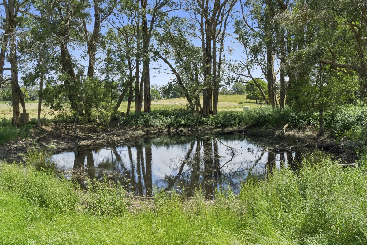 Additional image 25 of 2520 Carlisle Road, Carlisle River VIC 3239