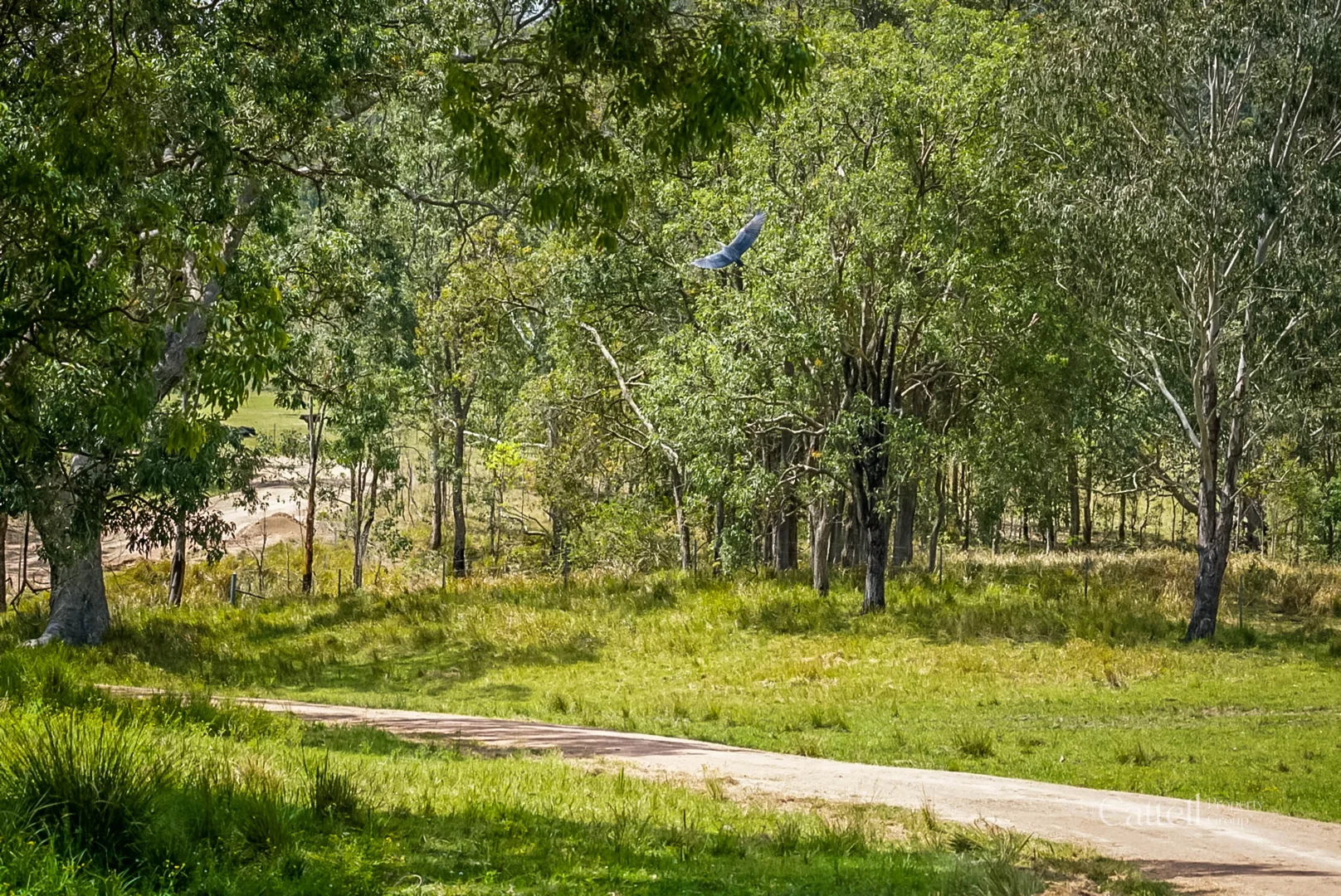Additional image 18 of 60 Blue Bonnett Road, Lambs Valley NSW 2335