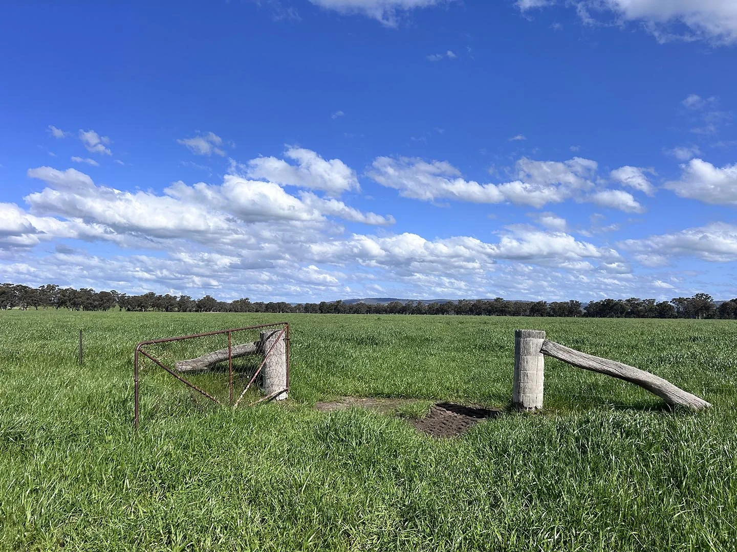 Additional image 12 of 1241 Drysdale Road, Pranjip VIC 3666