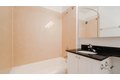 Additional image 54 of 180 Riverside Blvd Apt 316, New York, NY, 10069