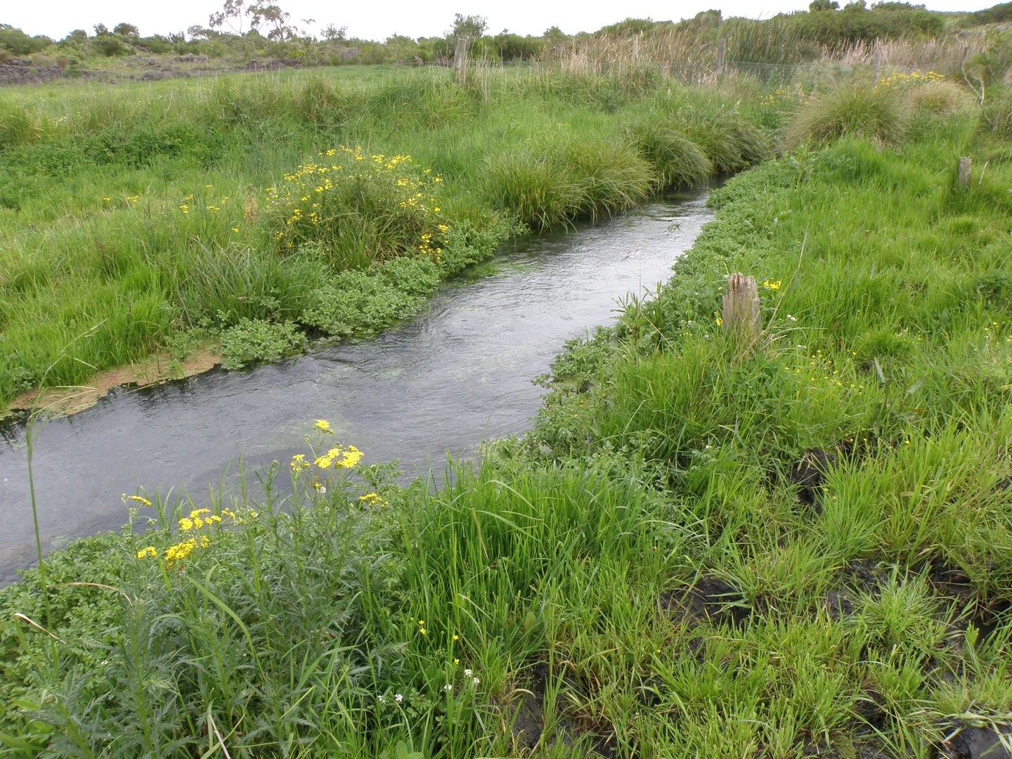 Additional image 9 of 289 Rands Road, Pomborneit North VIC 3260