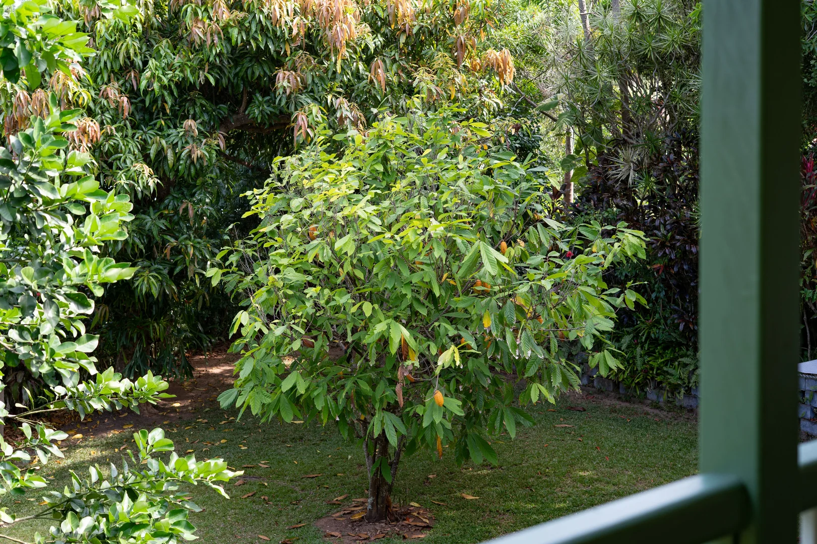 Additional image 28 of 6 Timana Tce, Wongaling Beach QLD 4852