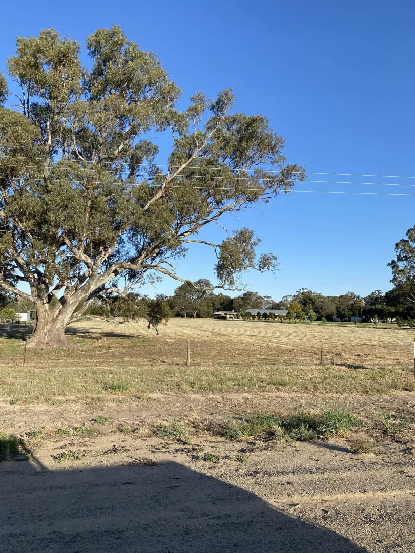 Additional image 4 of Lot 3 North Barham Road, Barham NSW 2732