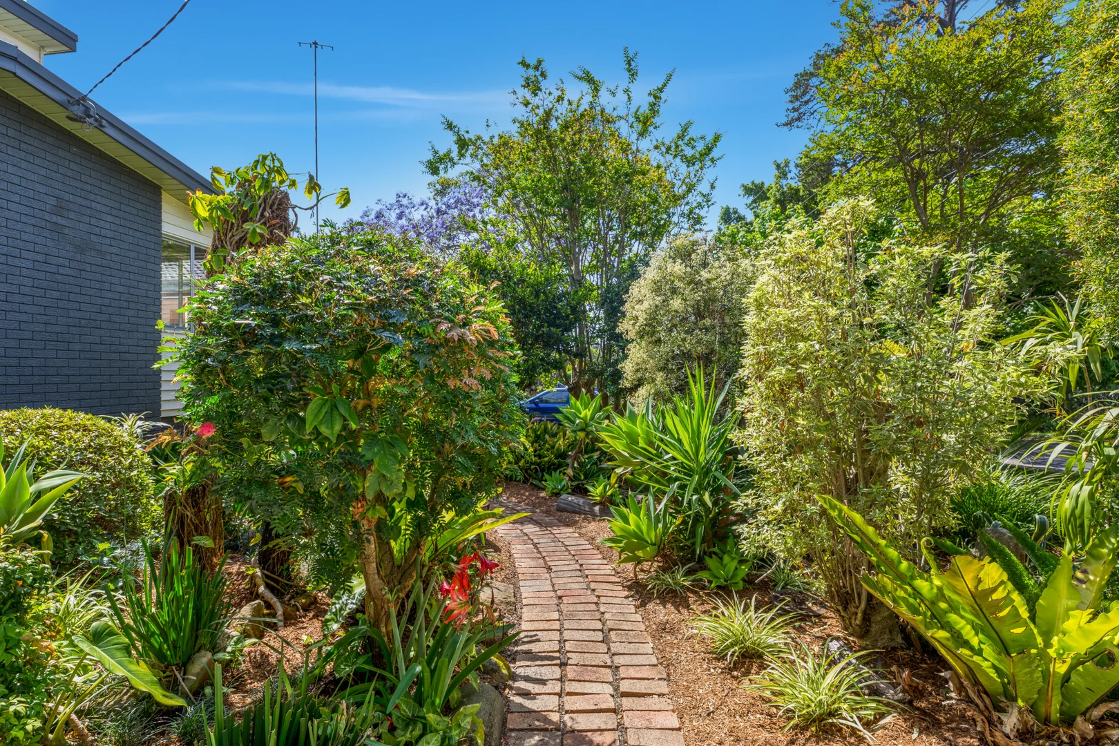 Additional image 19 of 53 Calypta Road, Umina Beach NSW 2257