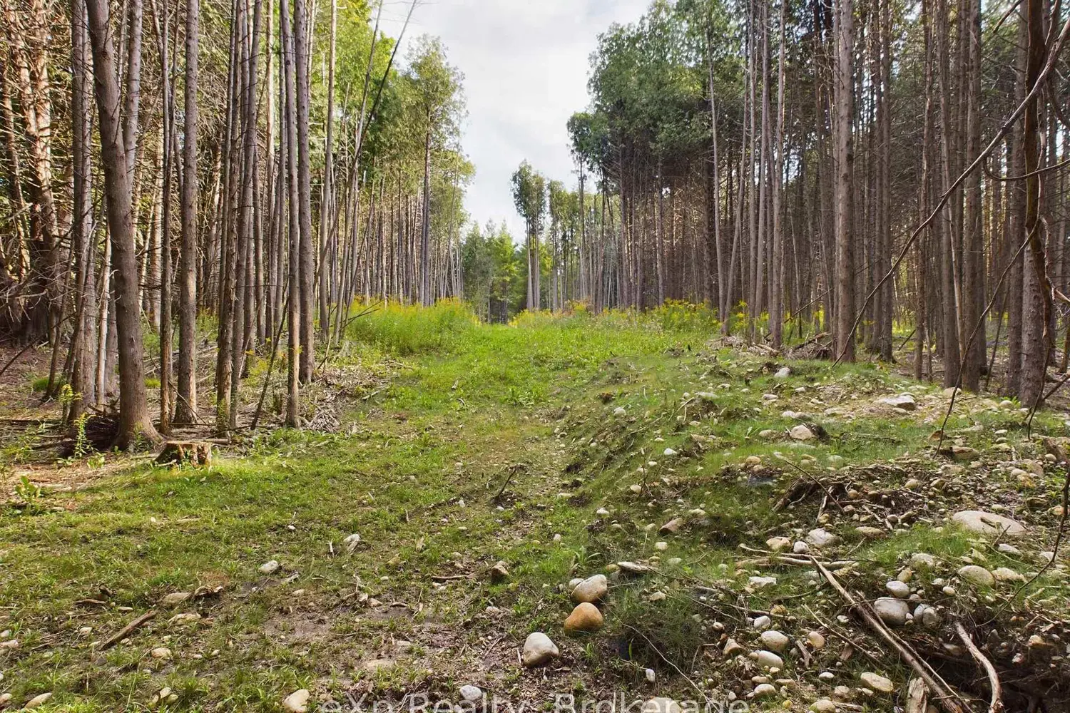 Additional image 9 of 502265 Concession 10 Ndr Concession