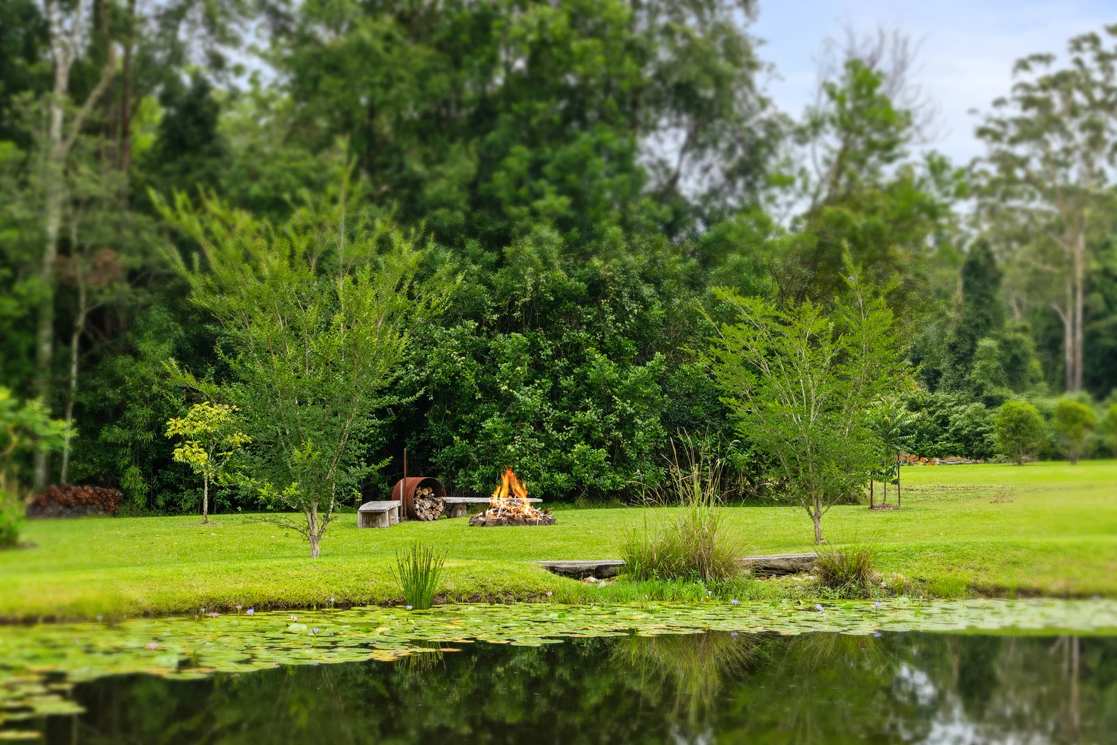 Additional image 24 of 1780 Dooralong Road, Lemon Tree NSW 2259