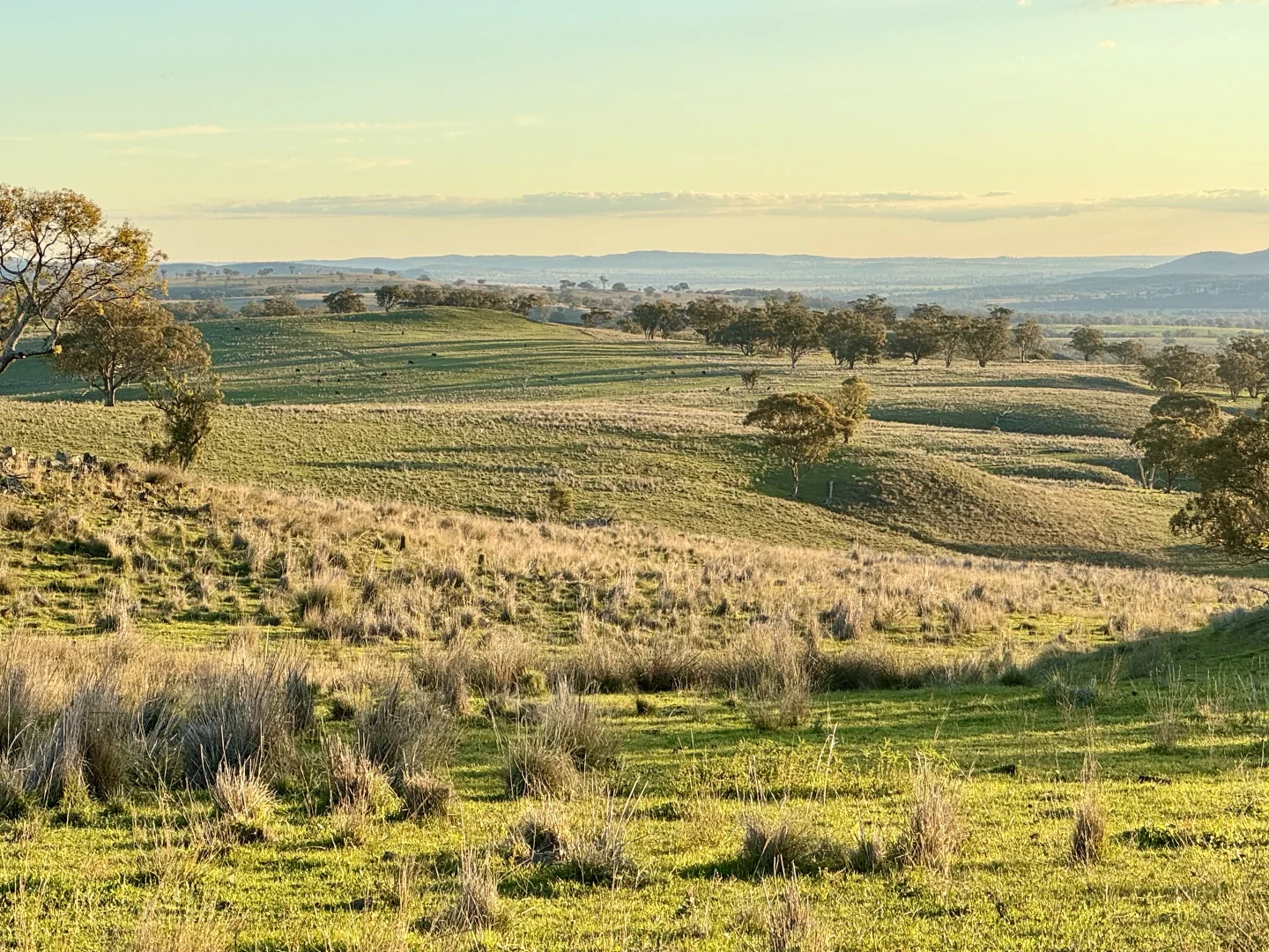 Additional image 16 of "Jemalong" 263 Collier Road, Coolah NSW 2843