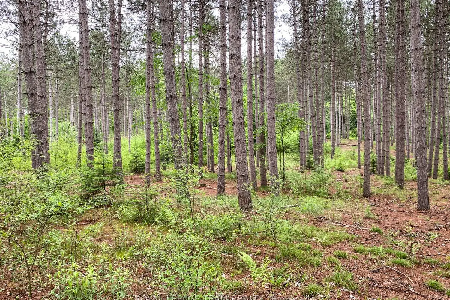 Additional image 9 of 1477 Watsons Corners Road