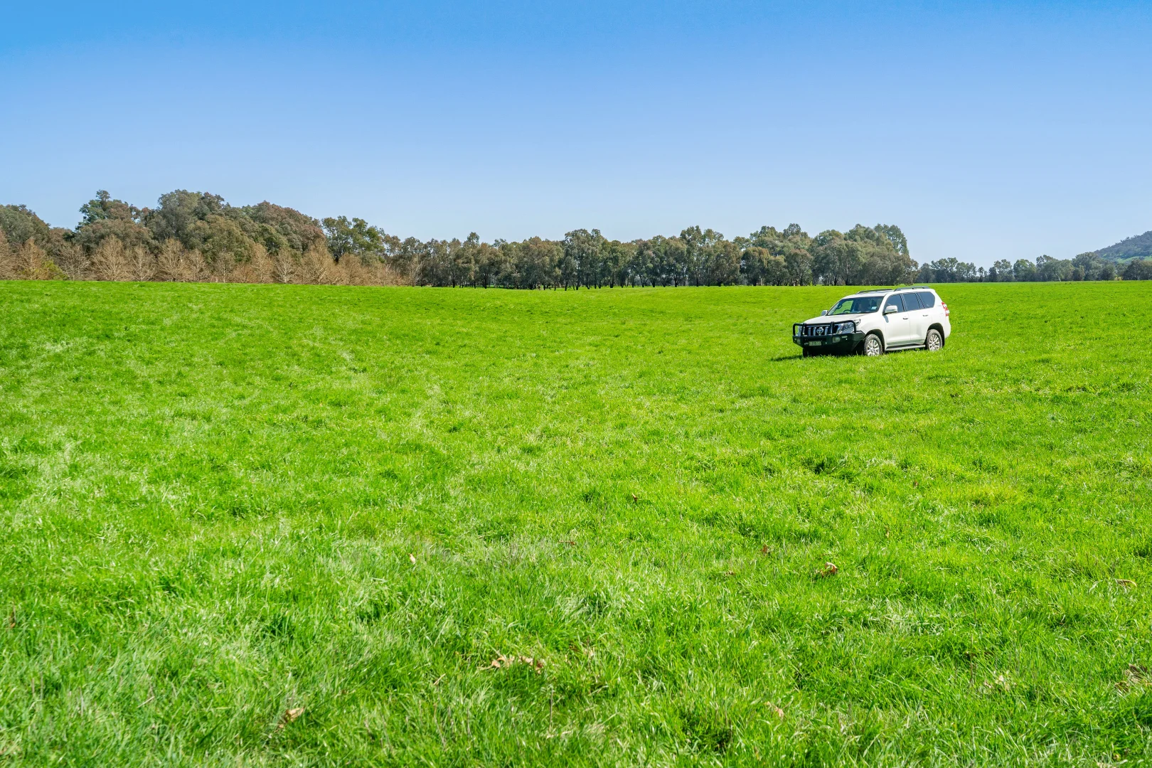 Additional image 35 of 336B Cookinburra Road, Indigo Valley VIC 3688