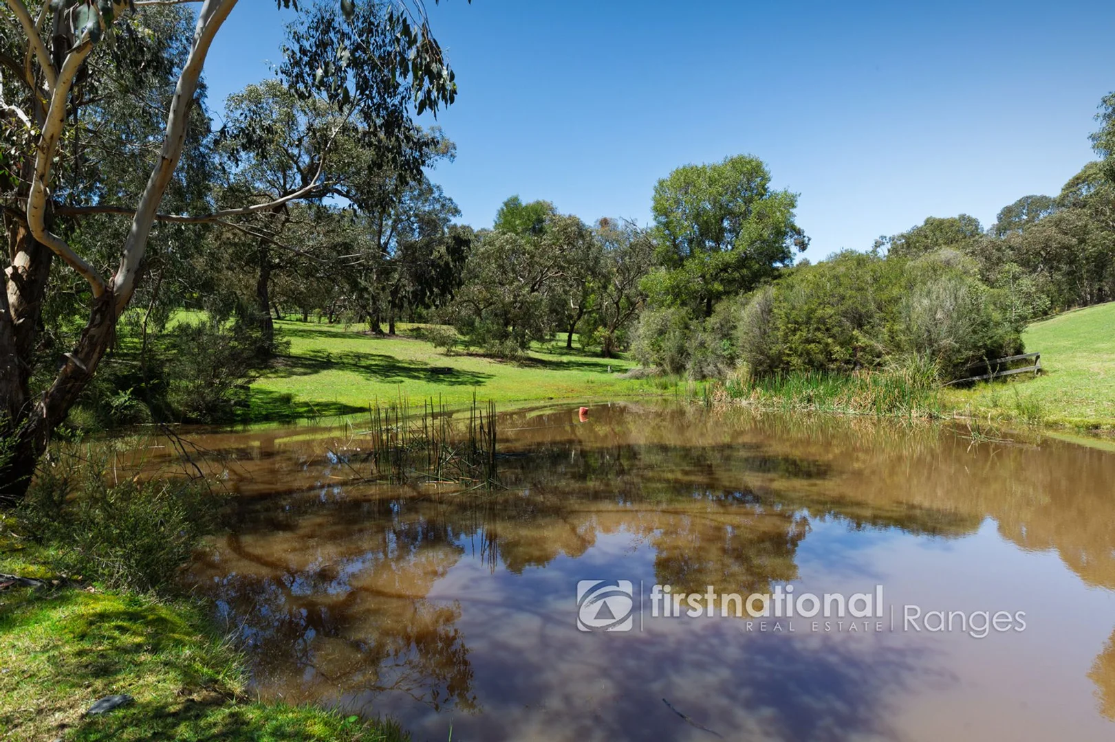 Additional image 19 of 11 Cherry Road, Macclesfield VIC 3782