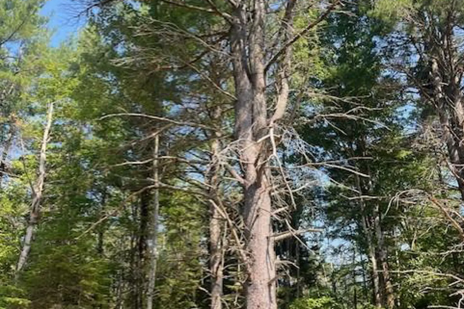 Additional image 7 of 942 Balmer Road