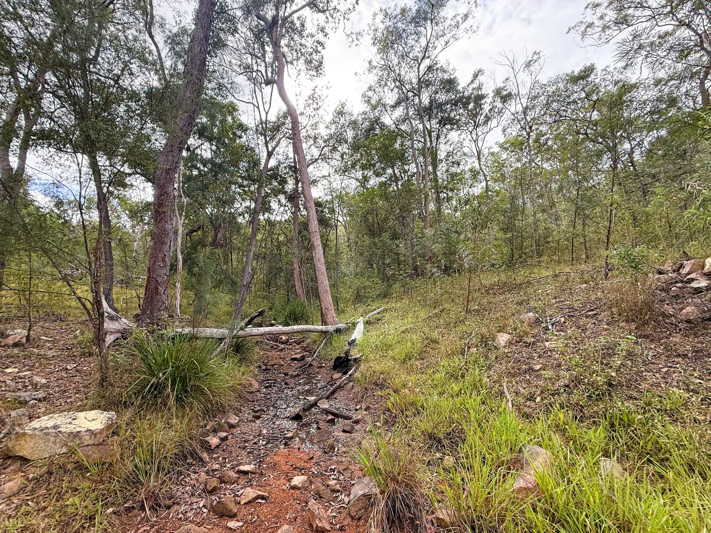 Additional image 18 of Lot 10/931 Nearum Road, Nearum QLD 4671