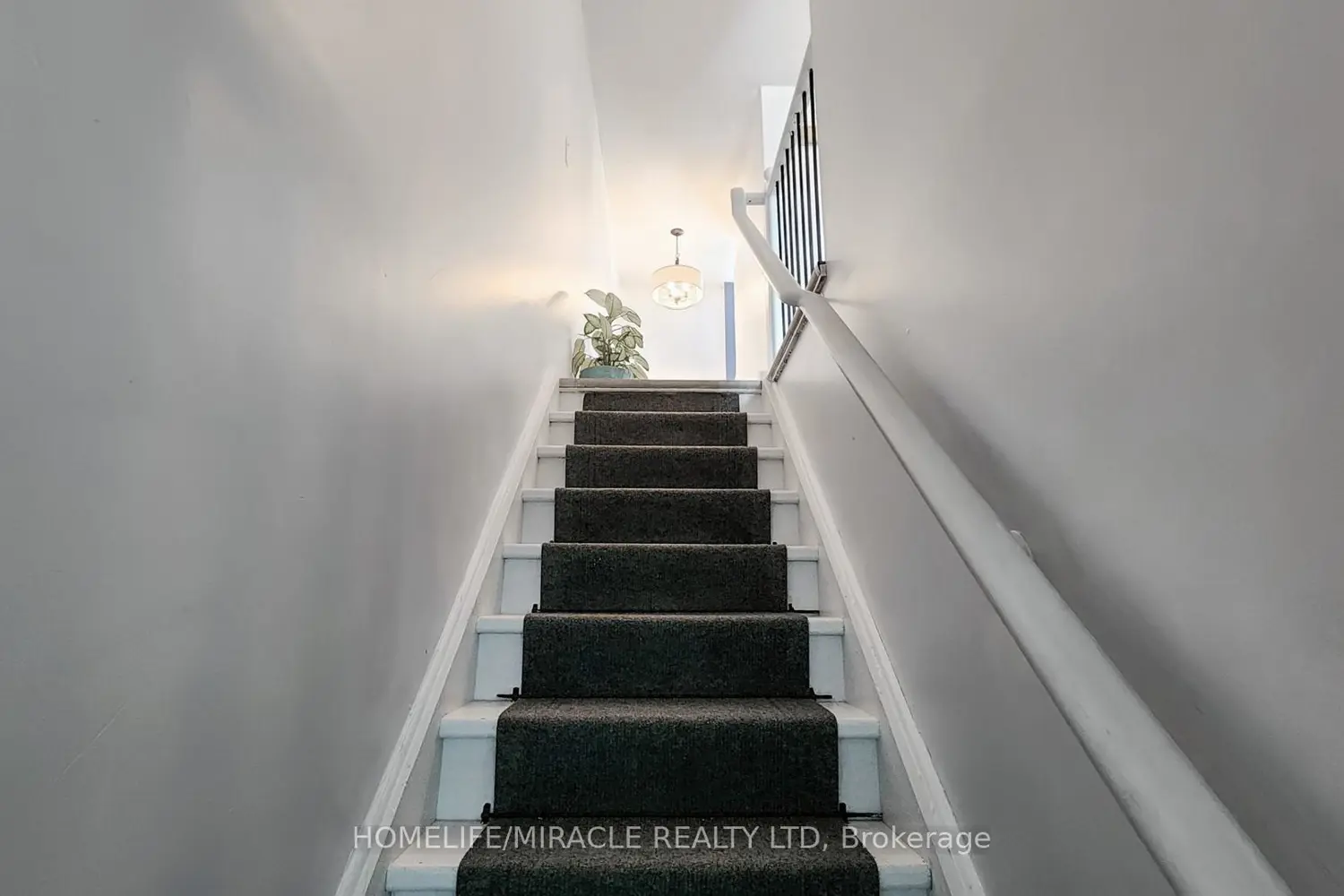 Additional image 17 of 4 William Curtis Circle