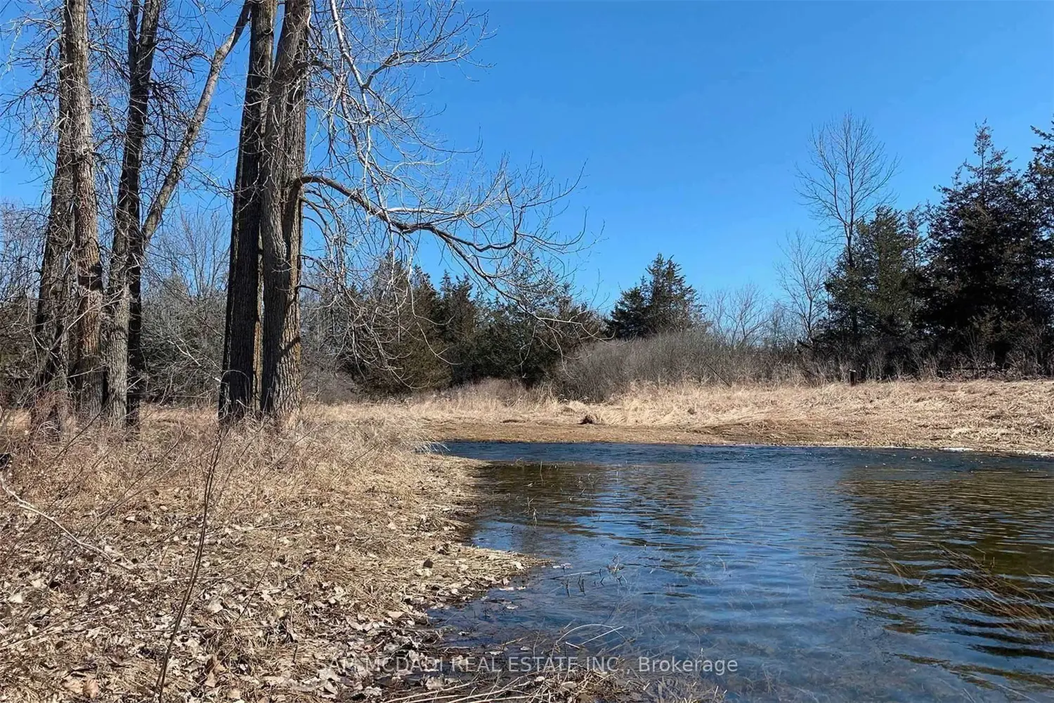 Additional image 15 of 0 Mitchell Road