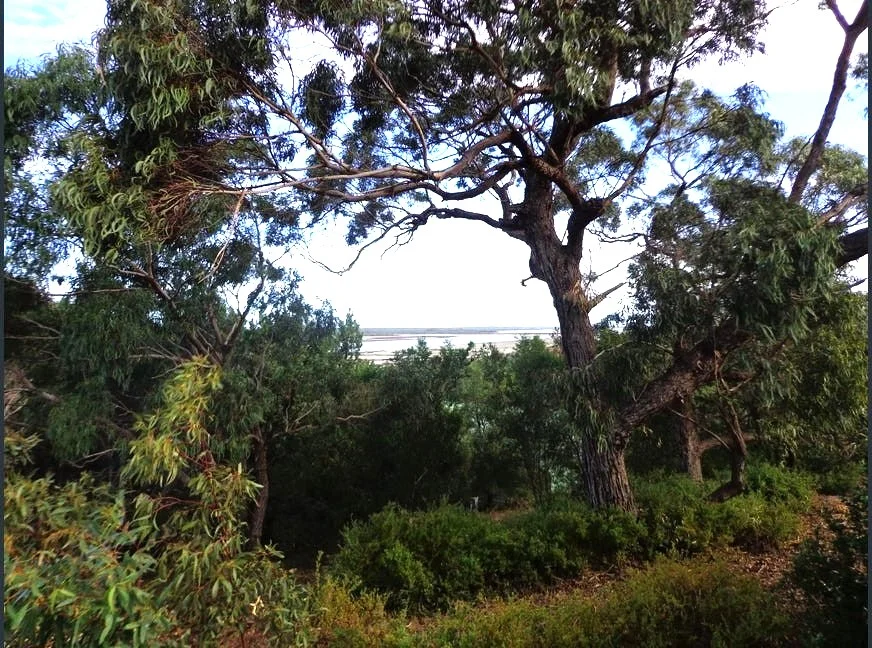 Additional image 5 of 48 Wallaby Street, Loch Sport VIC 3851