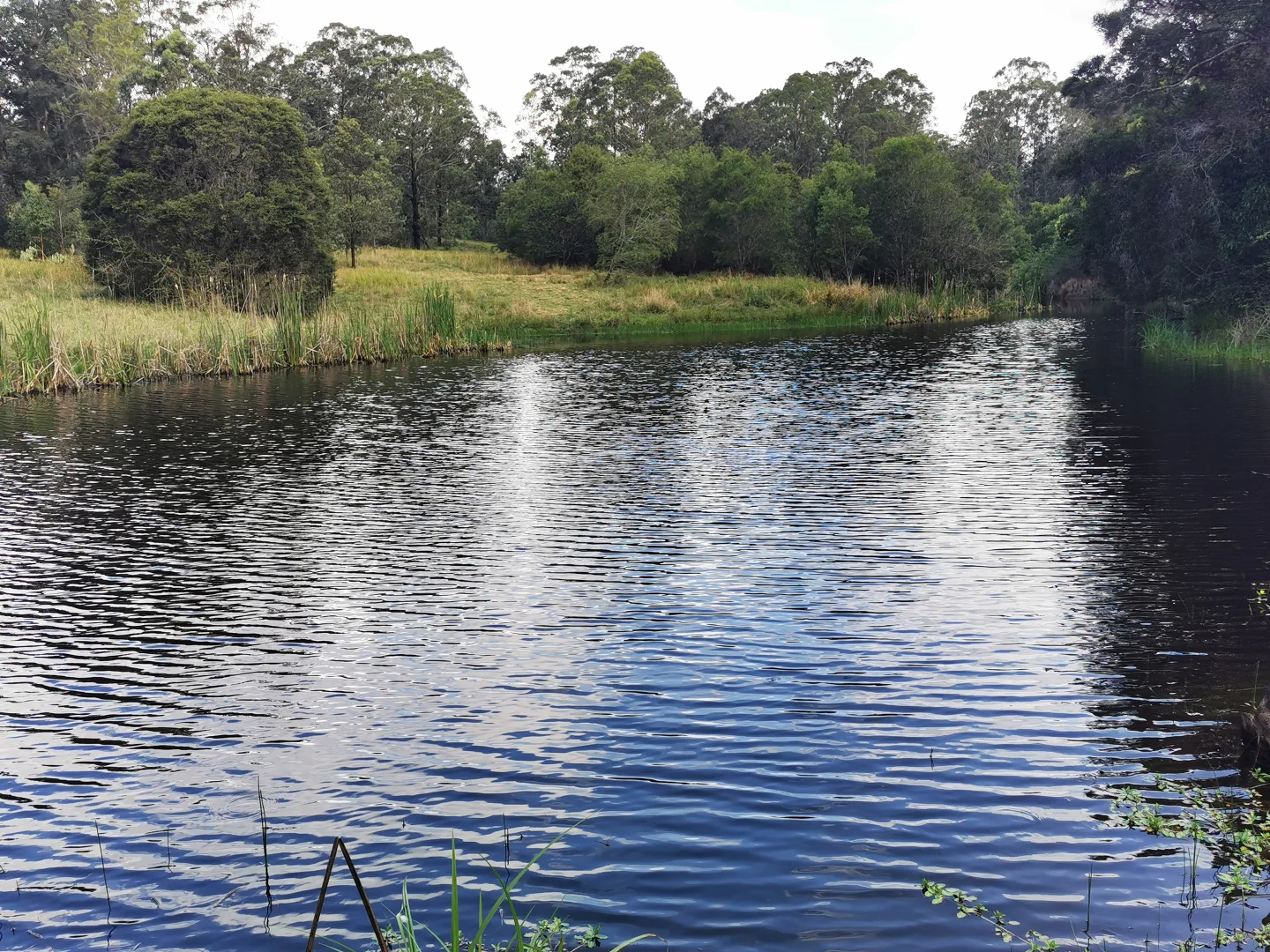 Additional image 5 of 5611 Oxley Highway, Ellenborough NSW 2446