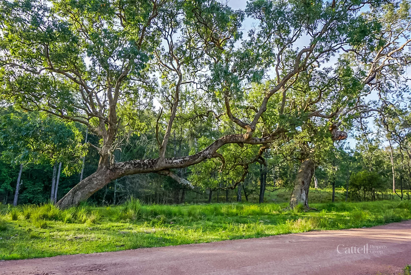 Additional image 9 of 60 Blue Bonnett Road, Lambs Valley NSW 2335