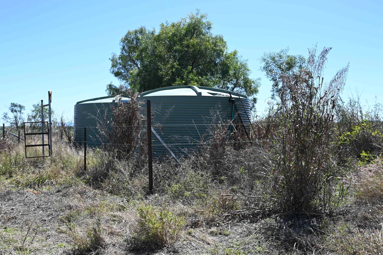 Additional image 19 of 102 Lowestoff Road, Capella QLD 4723