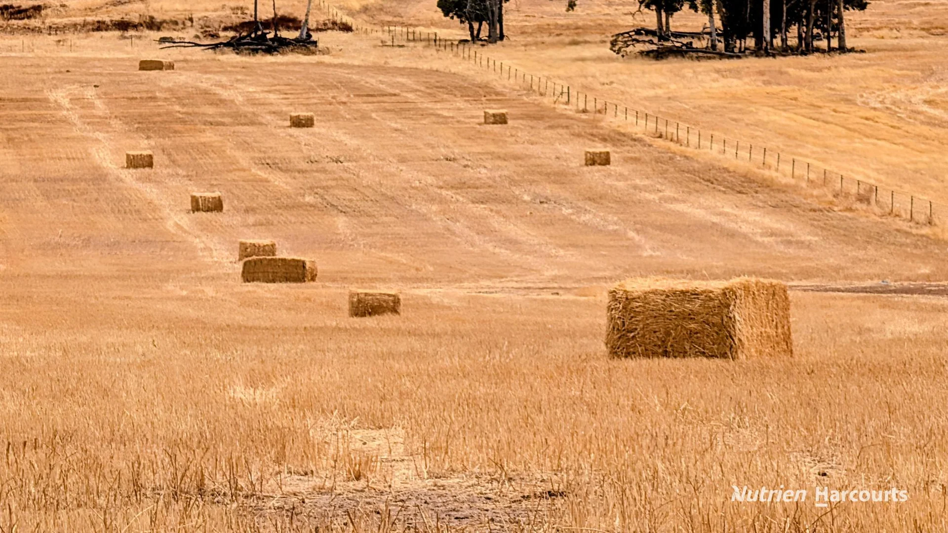 Additional image 25 of 823 (Lot 900) Talbot West Road, Mount Observation WA 6302