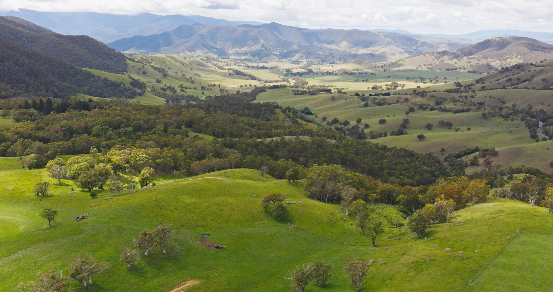 Additional image 18 of Lot 3 - 289 Tongio Gap Road, Tongio VIC 3896