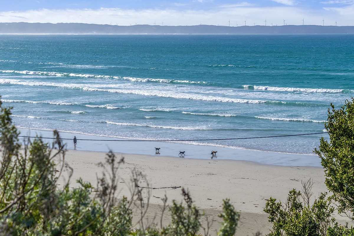 Additional image 6 of 1650 Bridgewater Road, Cape Bridgewater VIC 3305