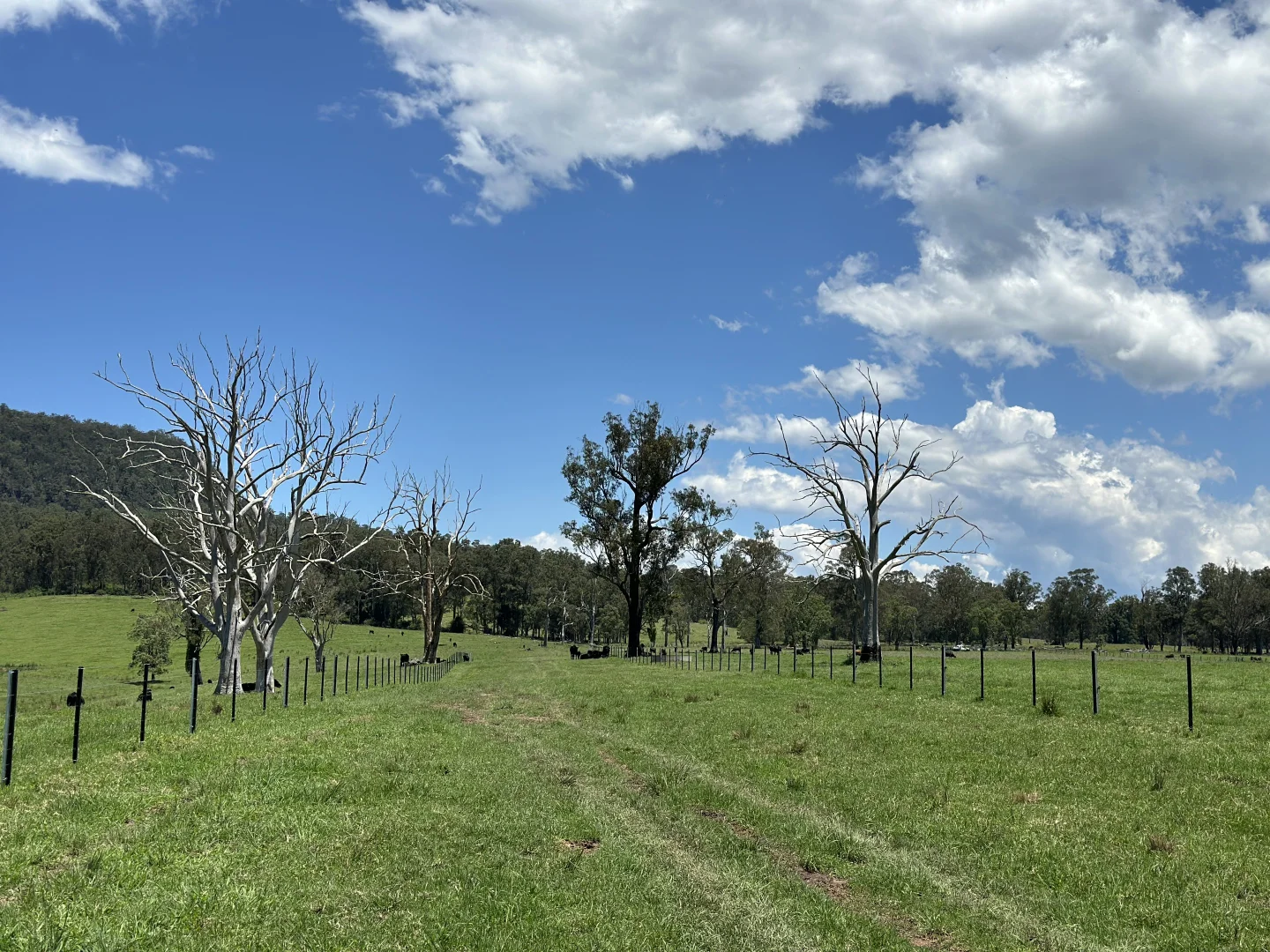 Additional image 20 of 119 Duck Creek Road, Old Bonalbo NSW 2469