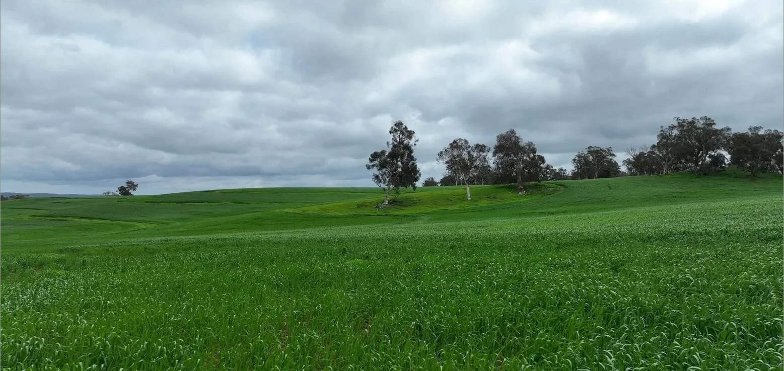 Additional image 4 of 142 Dumbarton Rd, Dumbarton WA 6566