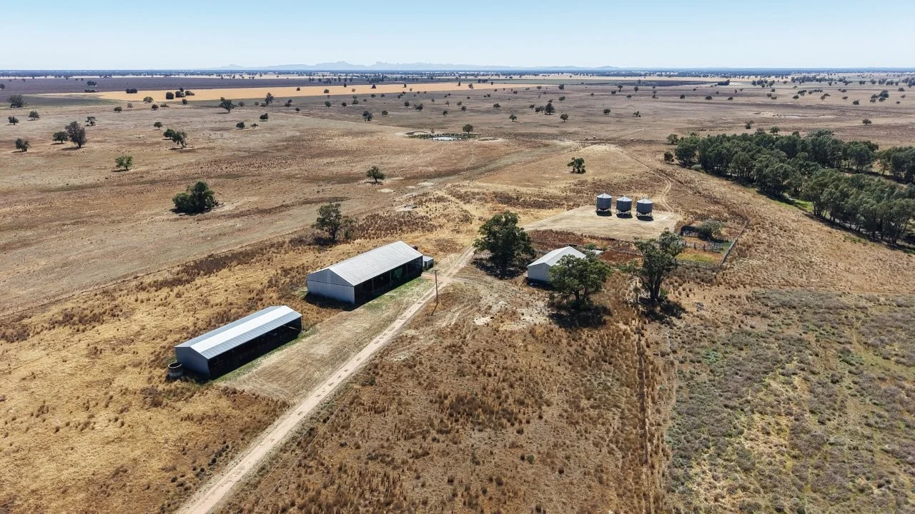 Additional image 24 of 128 Berida-Bullagreen Road, Collie NSW 2827