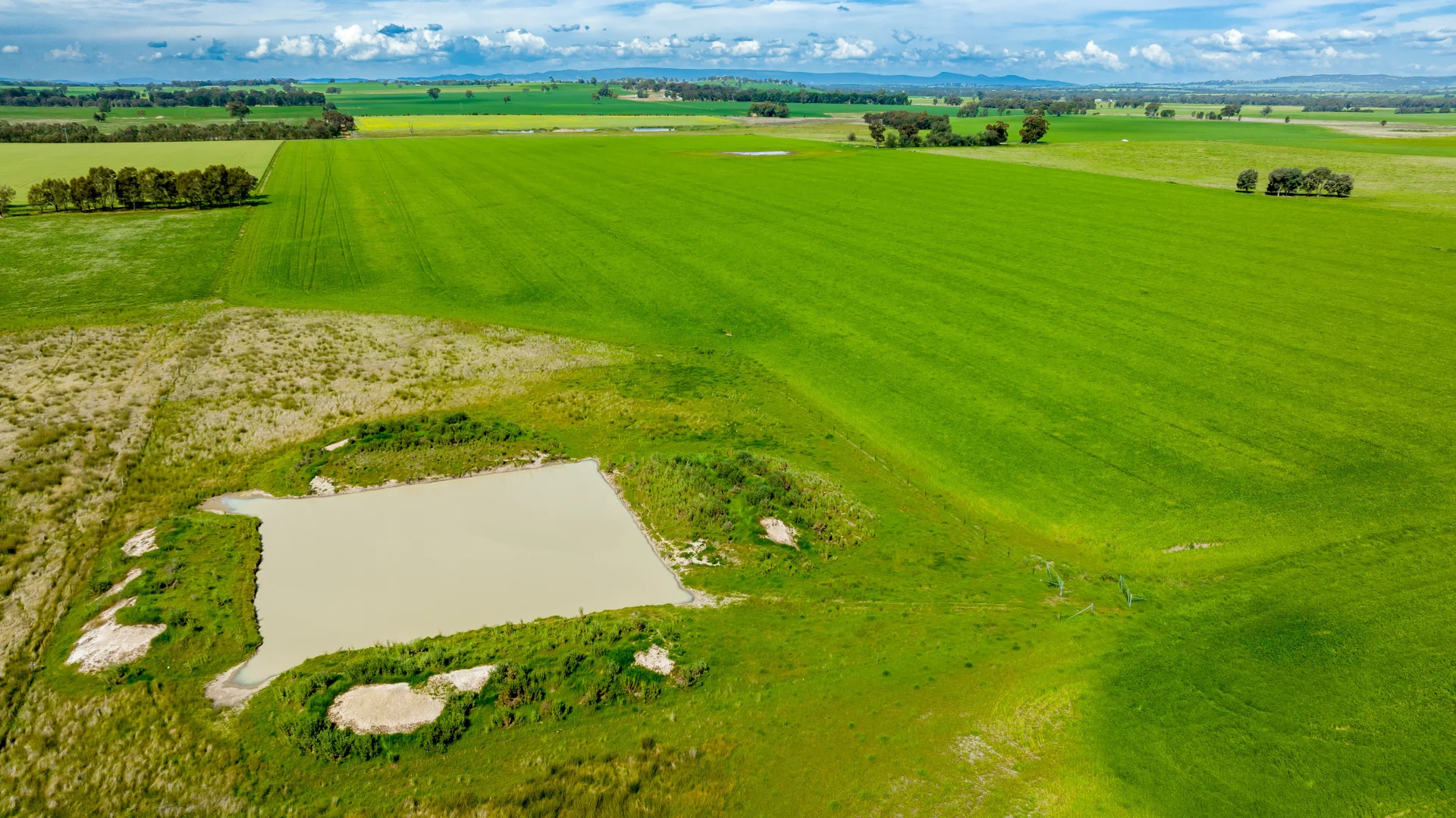 Additional image 5 of 'Arden Vale' Walbundrie Road, Walla Walla NSW 2659