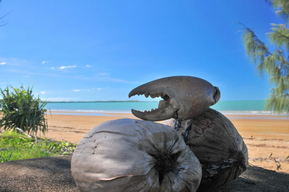 Additional image 11 of Manon Street, Armstrong Beach QLD 4737