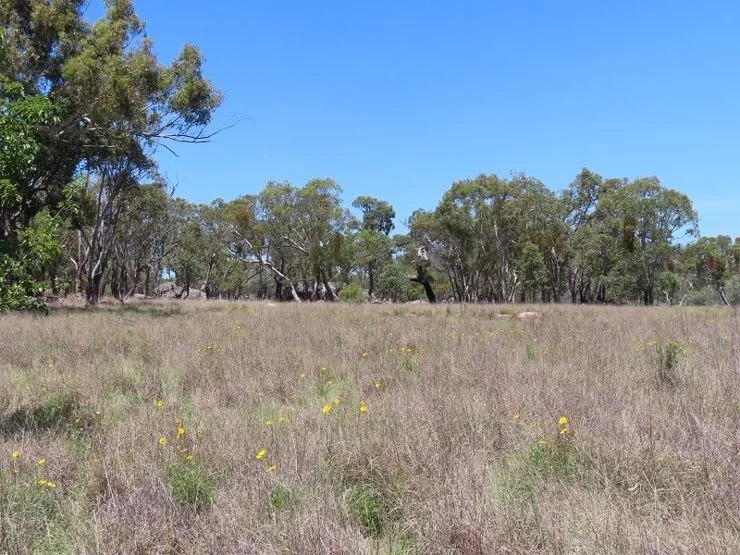 Additional image 10 of Bents Road, Ballandean QLD 4382