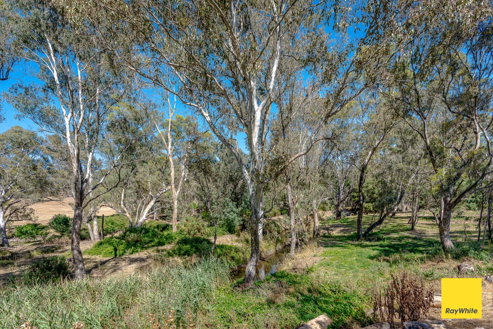 Additional image 5 of 8625 Midland Highway, Barkers Creek VIC 3451