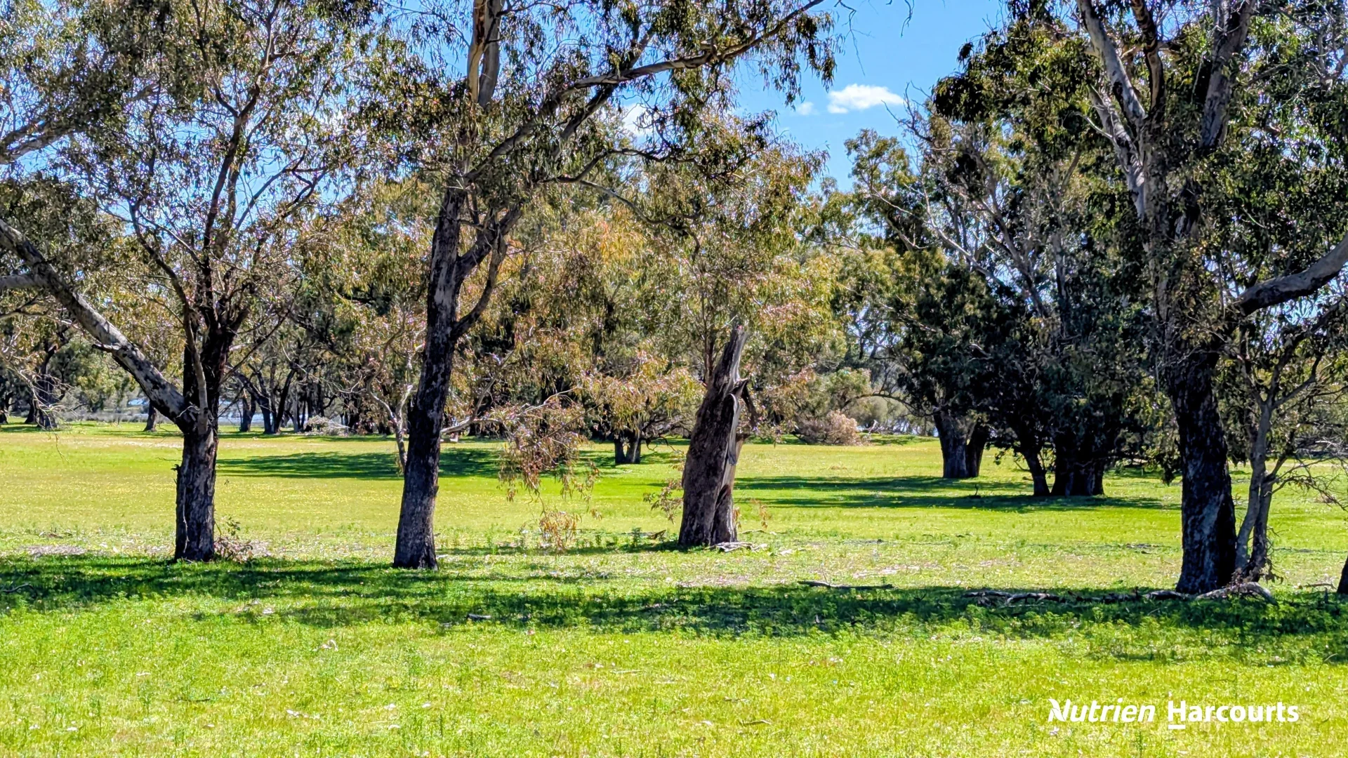 Additional image 17 of Lot 53 Cowalla Road, Cowalla WA 6503