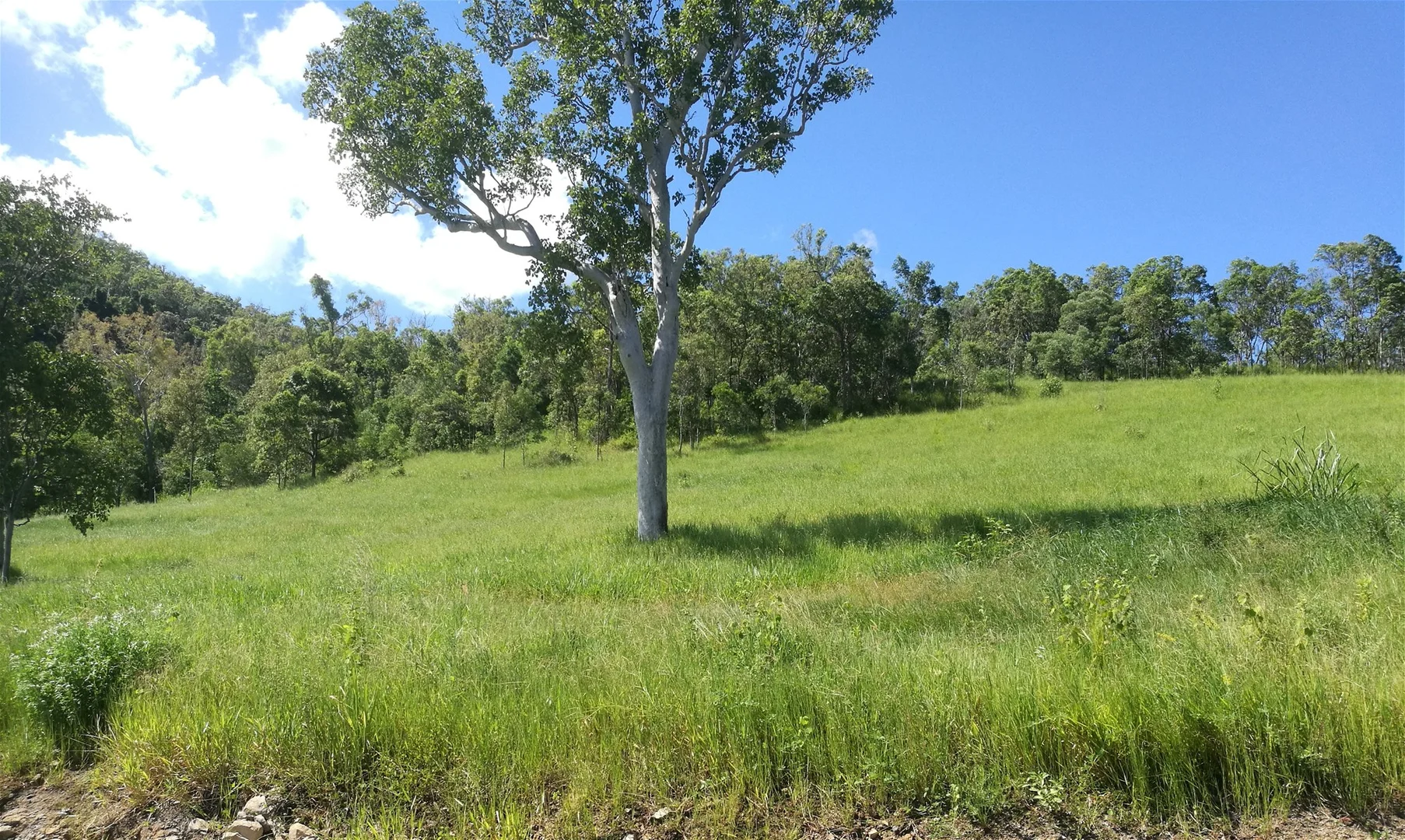 Additional image 9 of Lot 27 Bushranger Drive, Preston QLD 4800