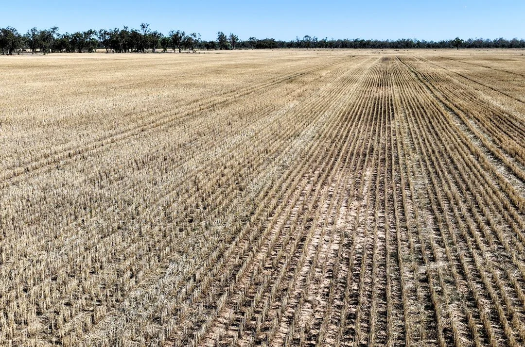 Additional image 22 of 18345 Gwydir Highway, Pallamallawa NSW 2399