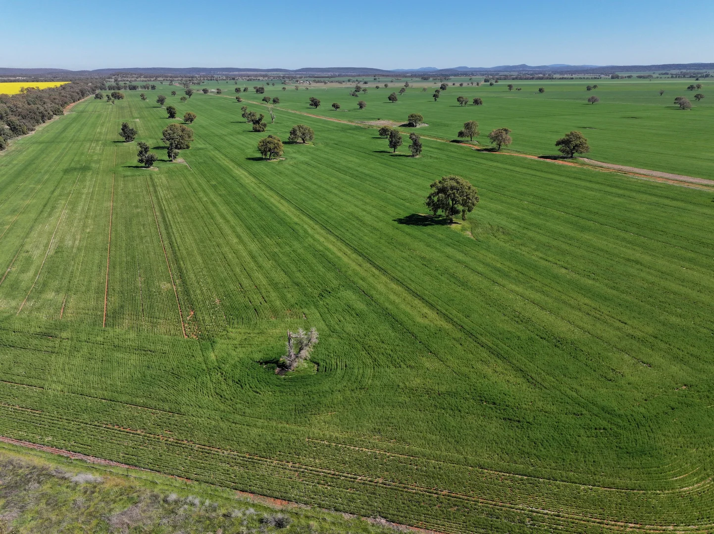 Additional image 3 of 2666 Henry Parkes Way, Gunningbland NSW 2876