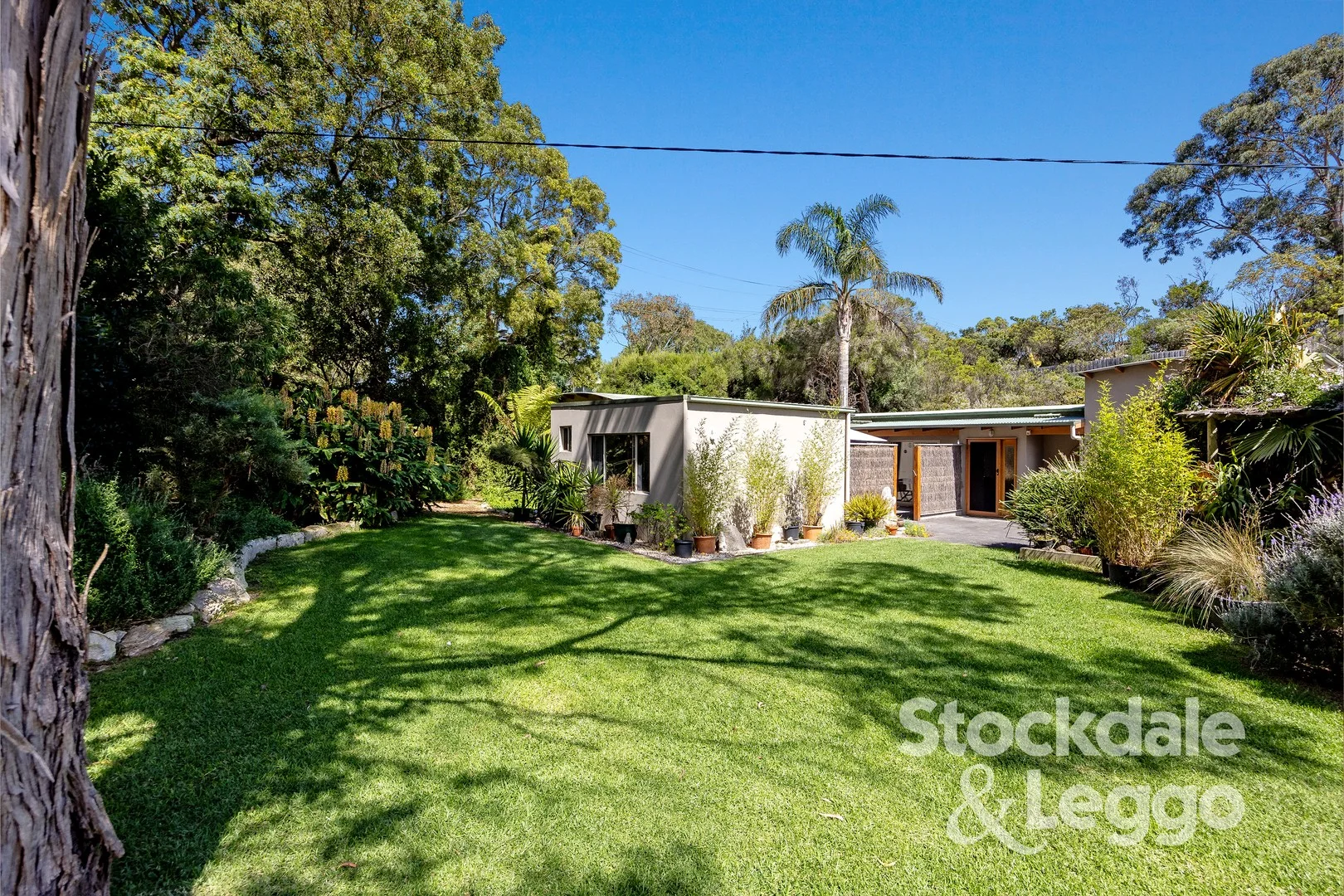 1126 Boneo Road, Cape Schanck VIC 3939