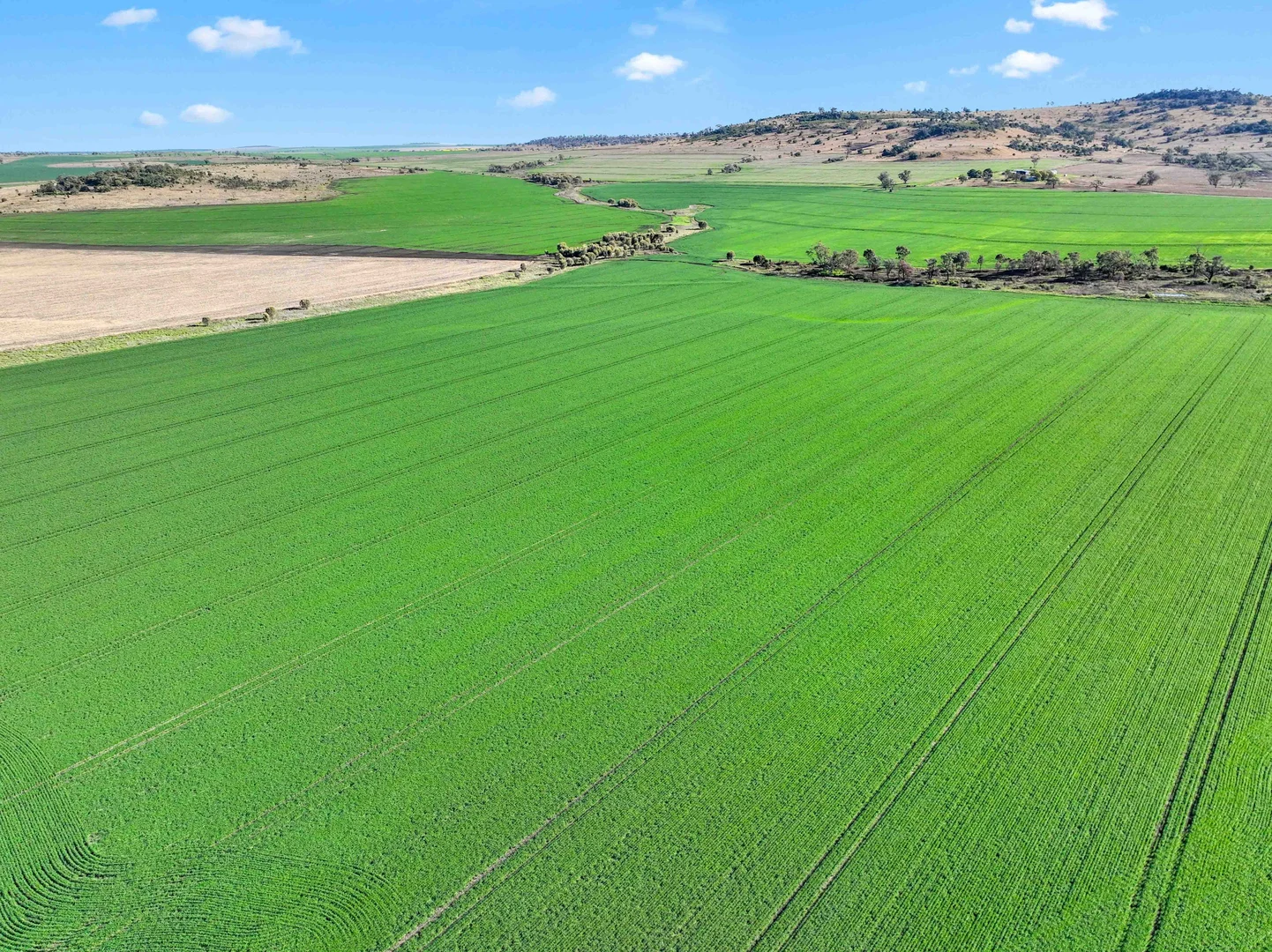 Additional image 4 of Croppa Creek NSW 2411