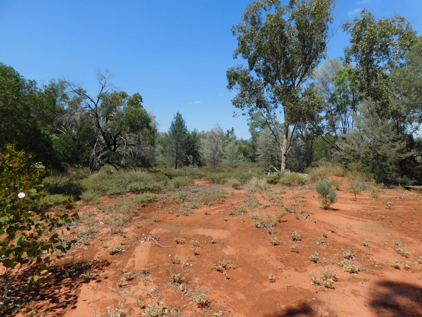 Additional image 7 of Lot 5 Mitchell Highway, Charleville QLD 4470