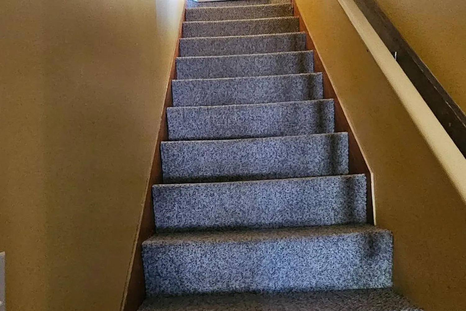 Additional image 17 of 8 Helen Street