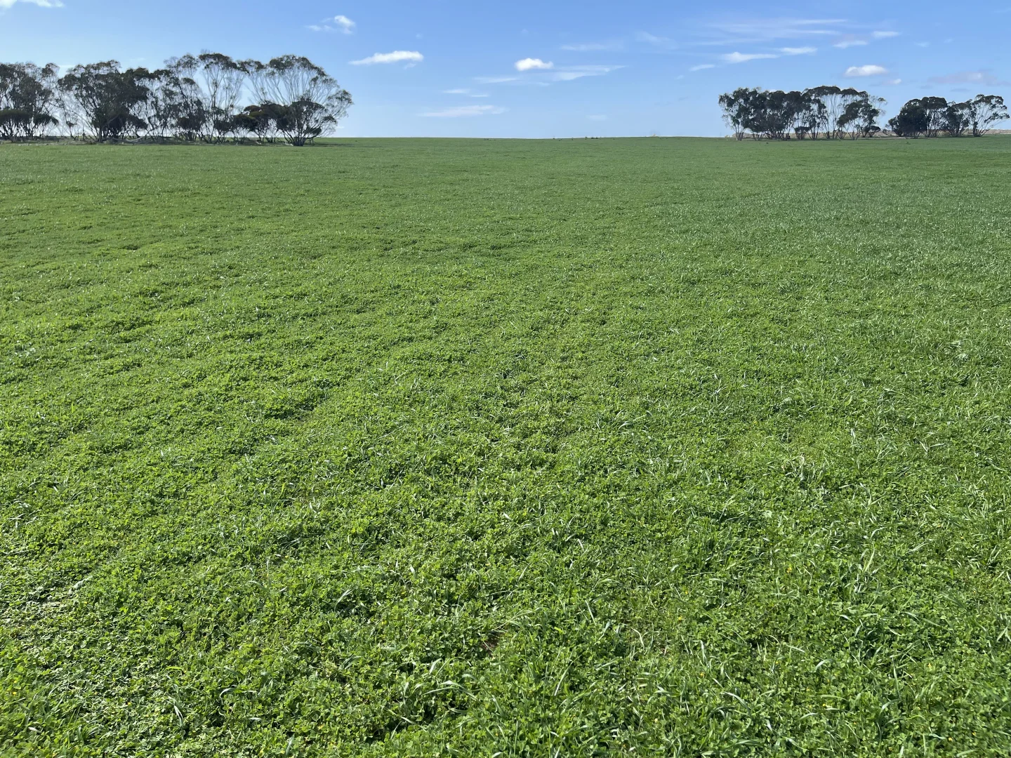 Additional image 9 of Lot 2 Palabie Road, Wudinna SA 5652