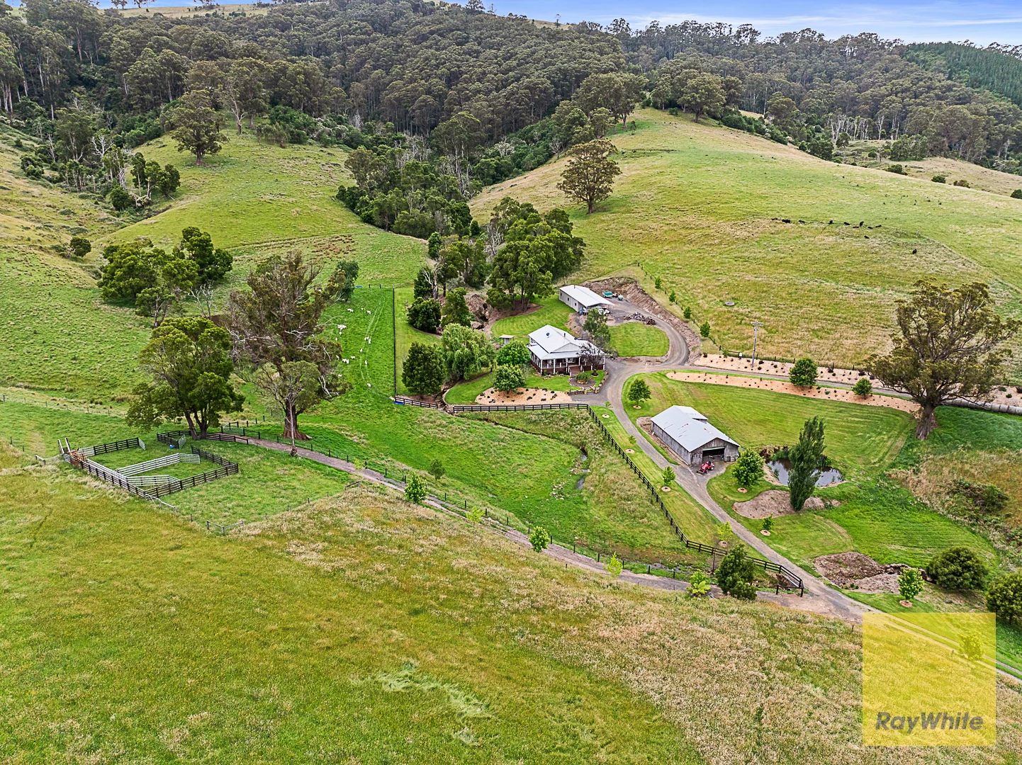 Additional image 26 of 127 Widdons Rd, Devon North VIC 3971