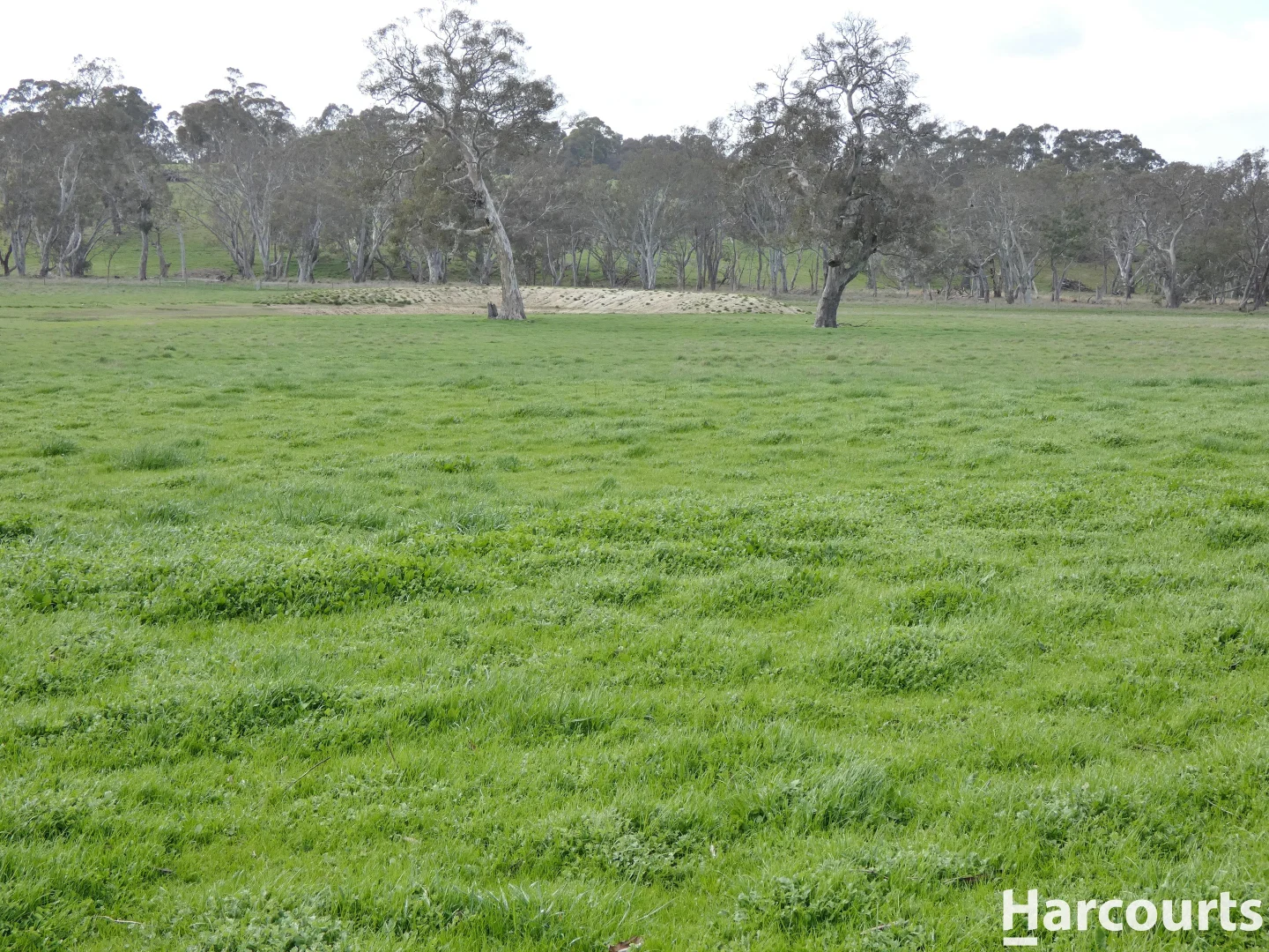 Additional image 6 of 1790 Harrow-Balmoral Road, Balmoral VIC 3407