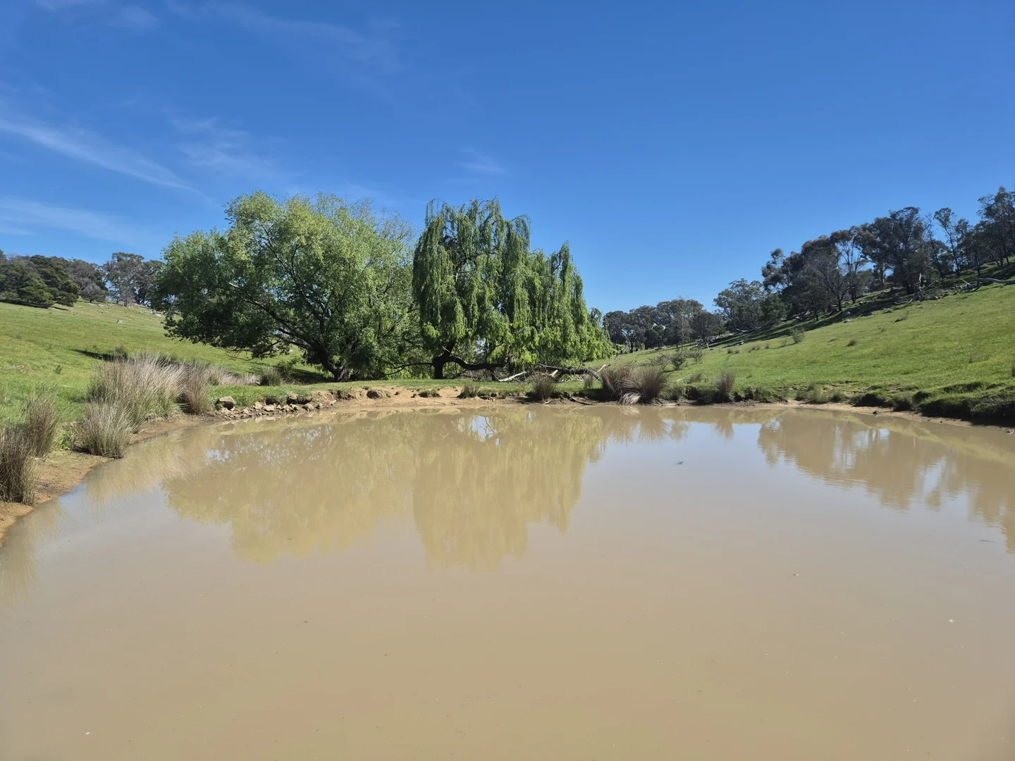 Additional image 26 of 665 Fernhills Road, Marraweeney VIC 3669